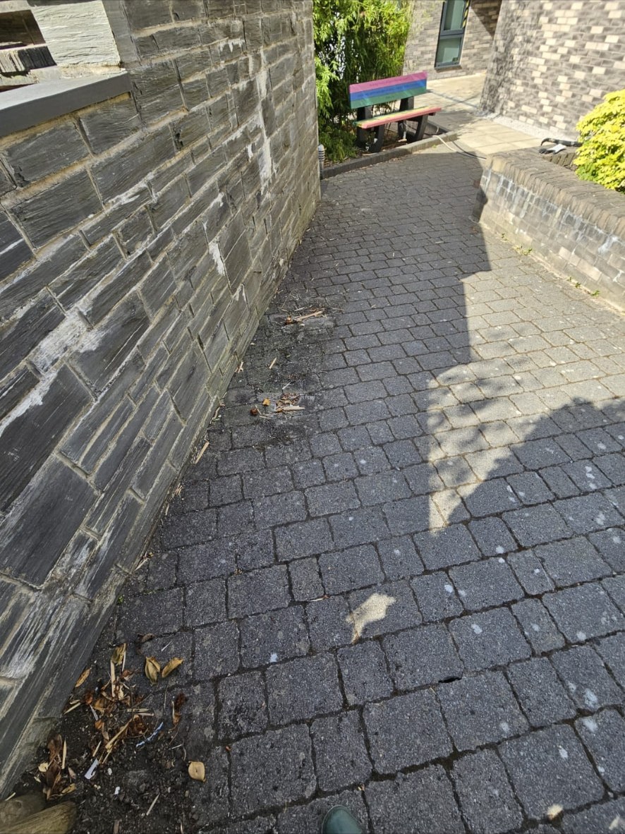 Moss and dirt on paving in an enclosed passage before cleaning